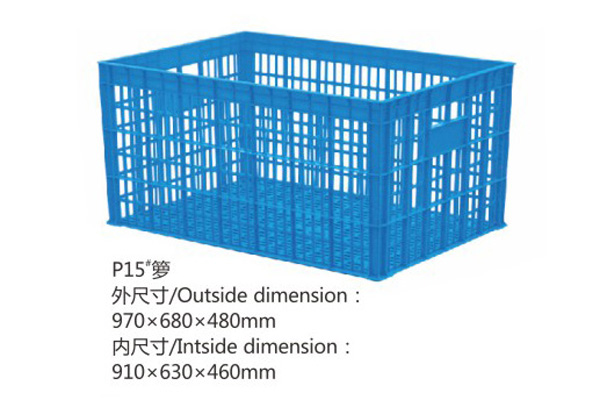 P15#箩.JPG